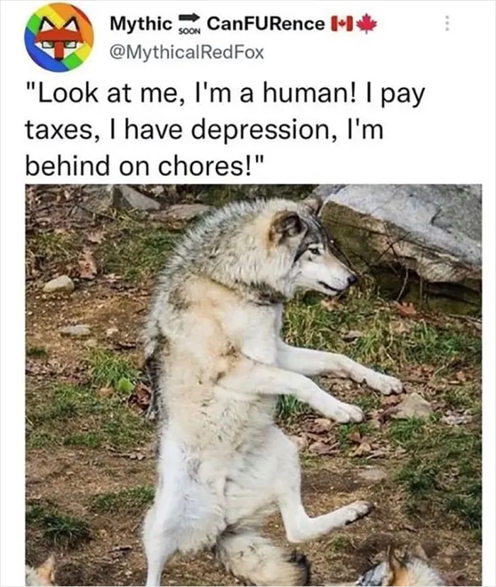 People Are Creating Memes About Nature And All Things Environment, Here Are 35 Of The Best Ones Shared On This Facebook Page