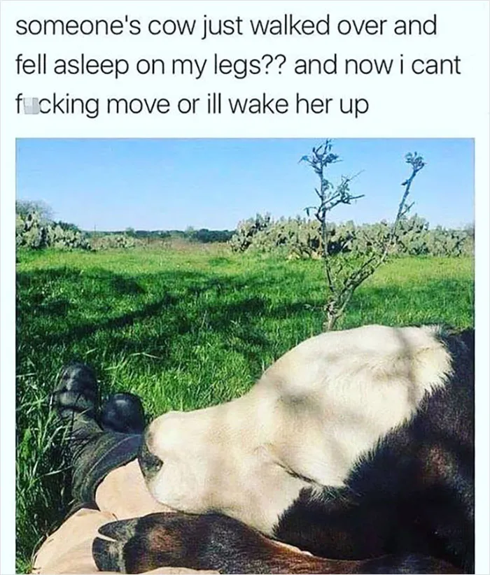 People Are Creating Memes About Nature And All Things Environment, Here Are 35 Of The Best Ones Shared On This Facebook Page