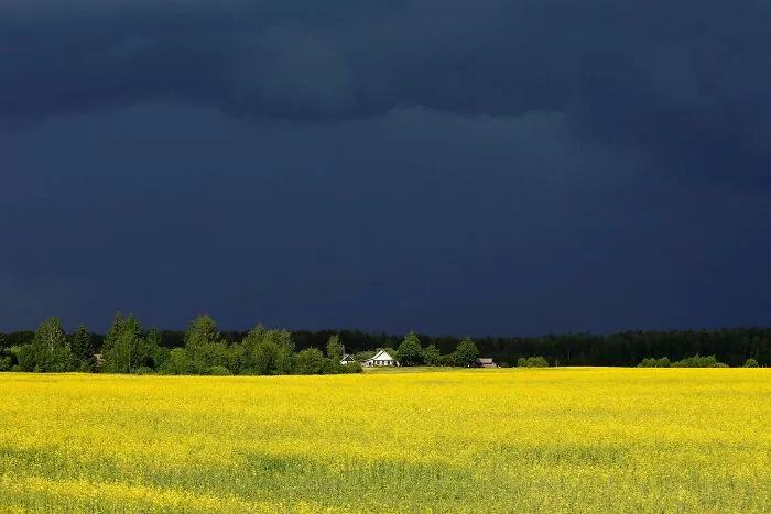 The Calm Before The Storm