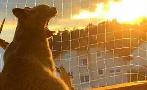 This Online Group Is Dedicated To Things That Are Inexplicably Satisfying, Here Are 50 Of The Best Ones (New Pics)
