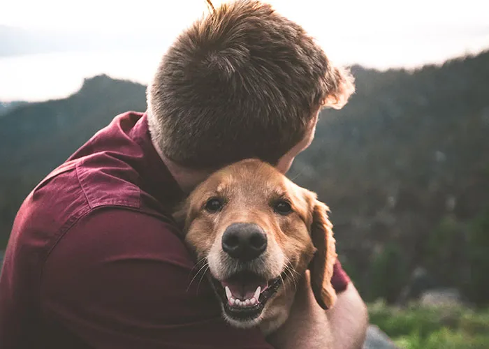 People Share 30 Changes They Made And Things They Did That Greatly Improved Their Mental Health