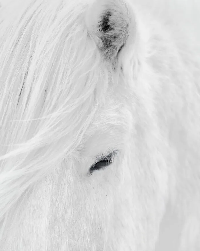 41 Pictures Of Captivating Nordic Nature That I Took When I Moved To Iceland
