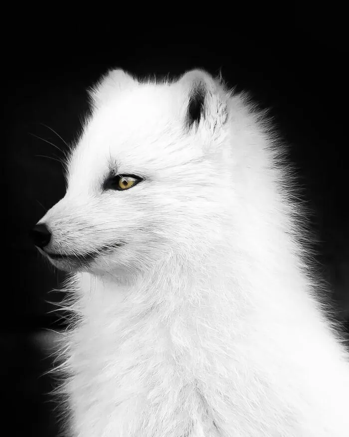 41 Pictures Of Captivating Nordic Nature That I Took When I Moved To Iceland