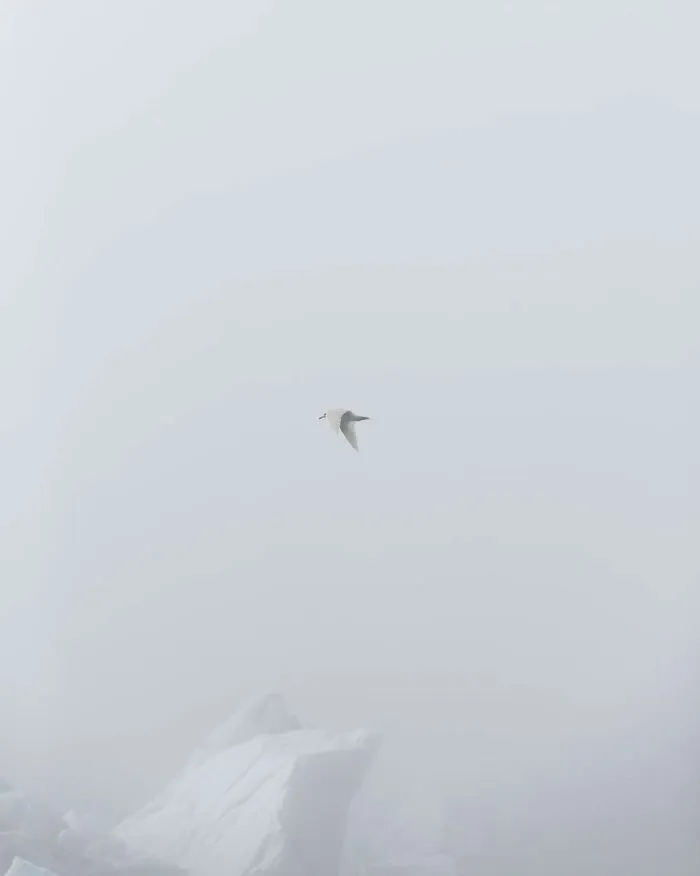 41 Pictures Of Captivating Nordic Nature That I Took When I Moved To Iceland