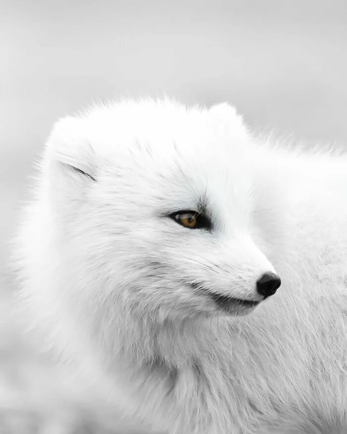 41 Pictures Of Captivating Nordic Nature That I Took When I Moved To Iceland