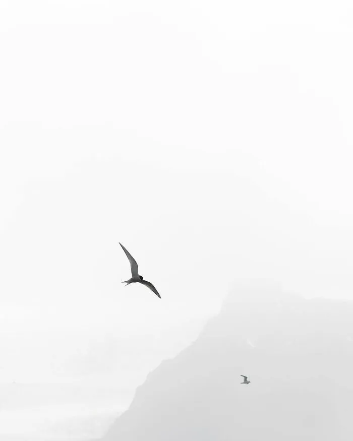 41 Pictures Of Captivating Nordic Nature That I Took When I Moved To Iceland