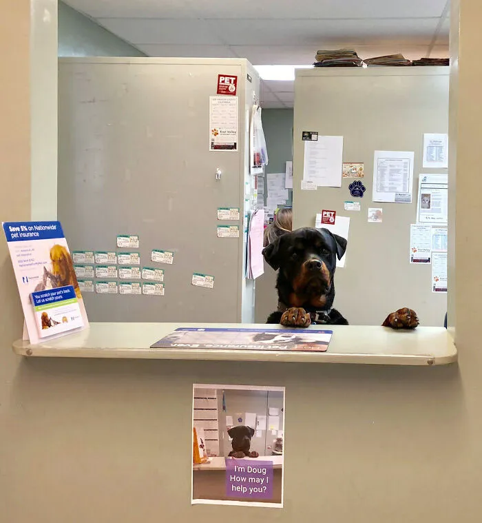 Doug Has His Own Sign And It's Almost The Best Part. He Was So Quiet I Didn't Notice Him At First