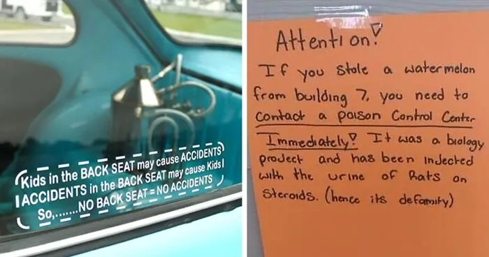 "Stupid And Weird Signs": 50 Of The Funniest Signs Ever, As Collected By This Facebook Group