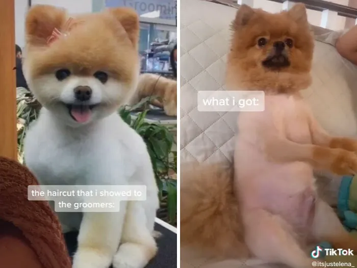 30 Of The Most Disappointing "What I Wanted Vs What I Got" Examples (New Pics)