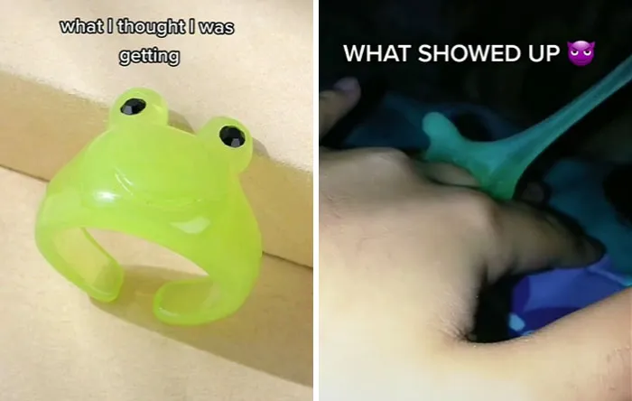 30 Of The Most Disappointing "What I Wanted Vs What I Got" Examples (New Pics)
