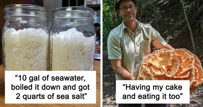 50 Times People Found Something Amazing While Foraging And Just Had To Share In This Dedicated Online Group