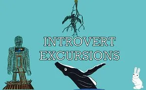 Introvert Excursions
