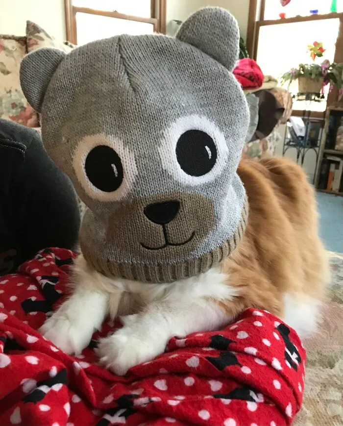 Witness Protection Program. But He’s Smiling Underneath Too