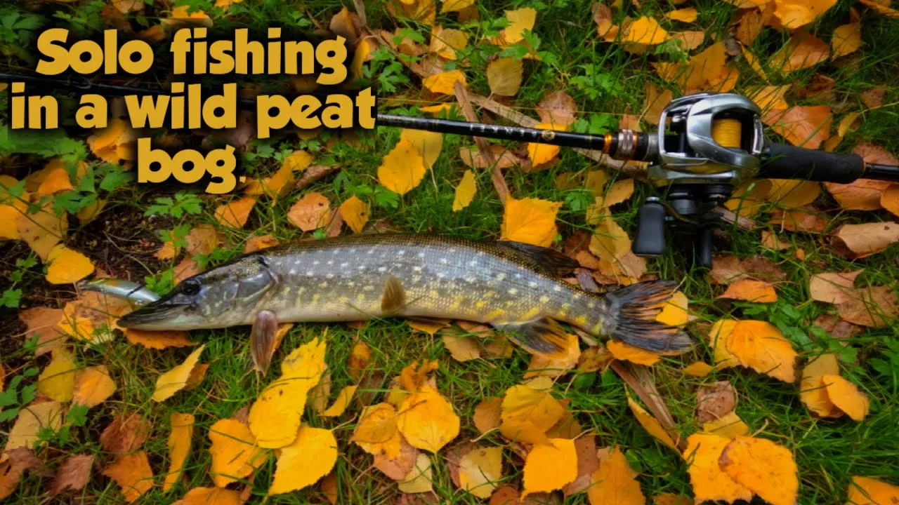 Catching Pike Every Cast.