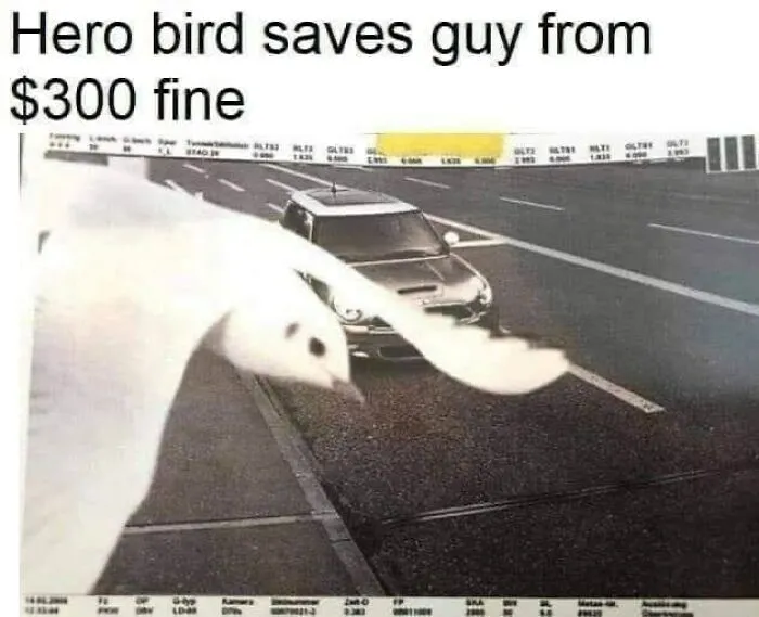 Bro I Got You