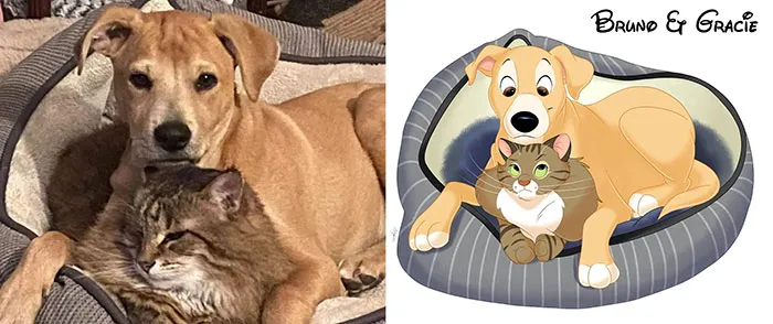 Bruno And Gracie