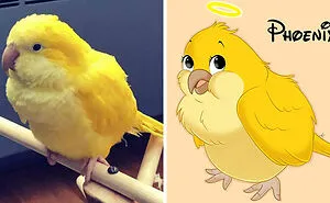 People Send Pictures Of Their Pets To This Artist To Get Them 'Disneyfied' (40 Pics)