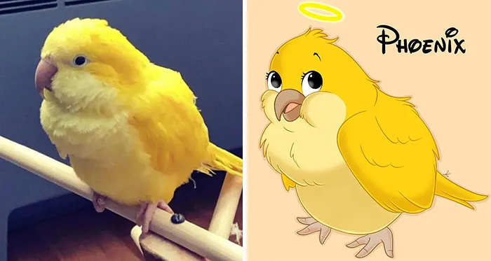 Phoenix