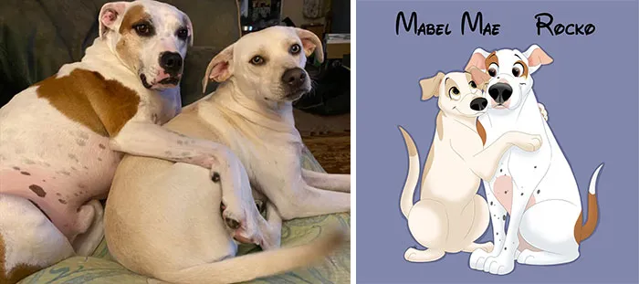 Mabel Mae And Rocko