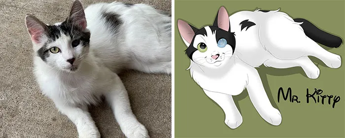 Mr. Kitty