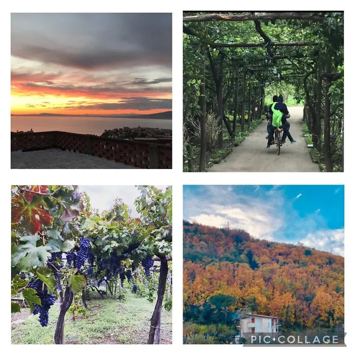 Autunno A Casa 🧡🤎💛❤️💚 Autumn At Home