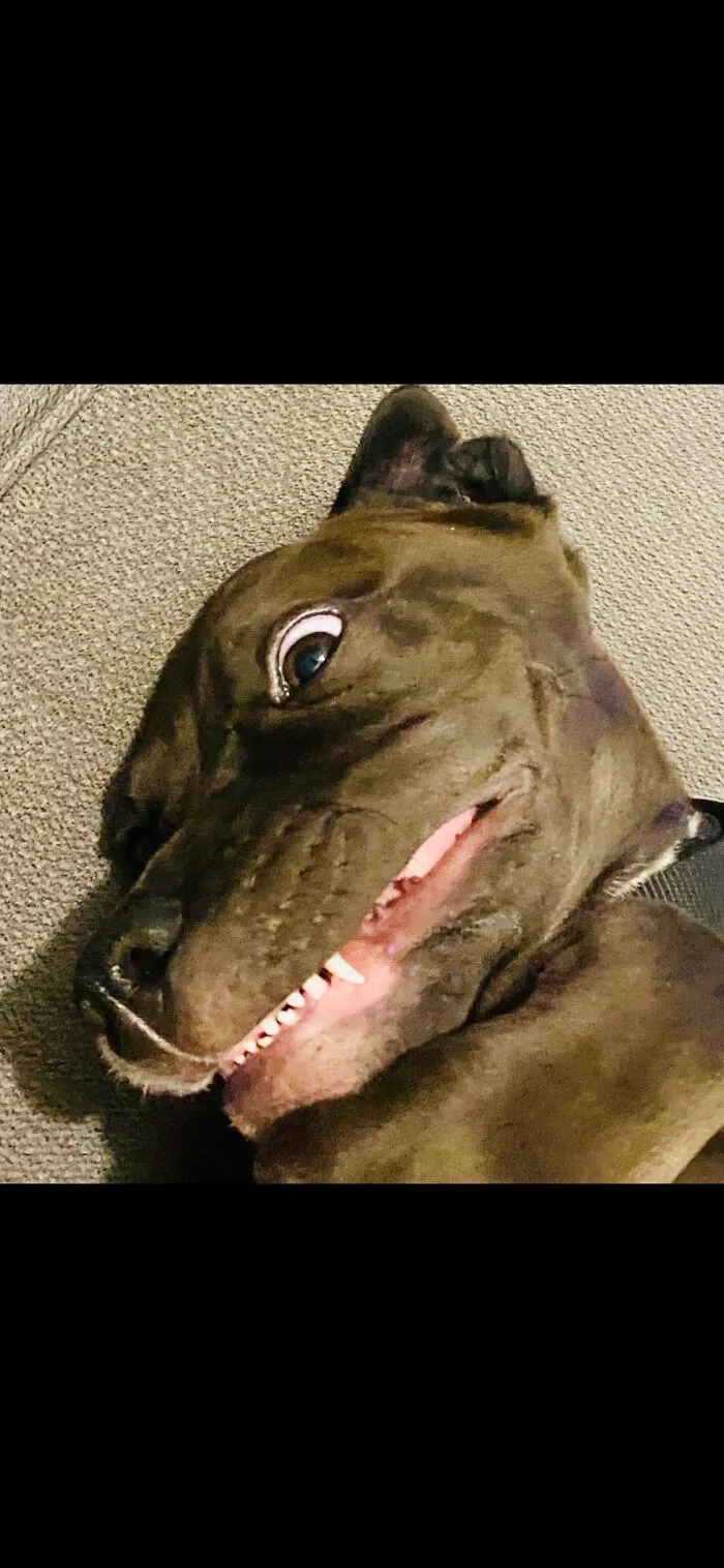 Teeth!