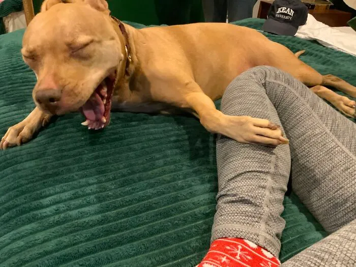 She Yawn