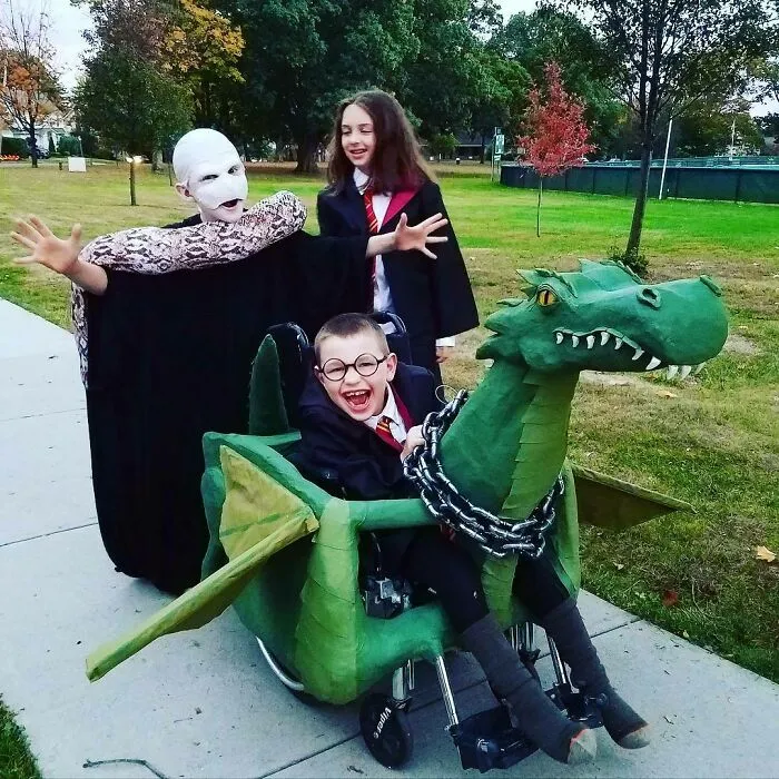 The Whole Gang. Hermione, Voldemort & Harry