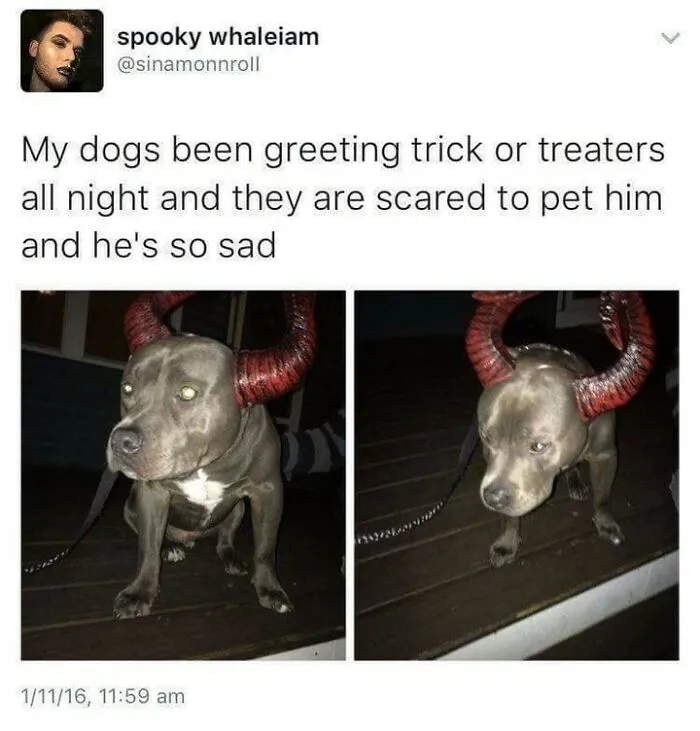 In Honor Of Halloween, Here Are 50 Hilarious And Spooky Pics And Memes