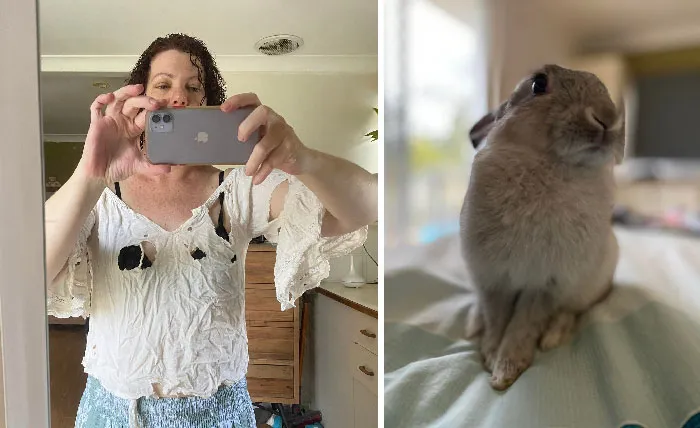 Get A Rabbit They Said, It Will Be Fun!