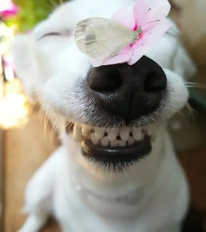 It’s Friyay! Anyone Else Had A Hard Week And Glad To See The Weekend Upon Us?