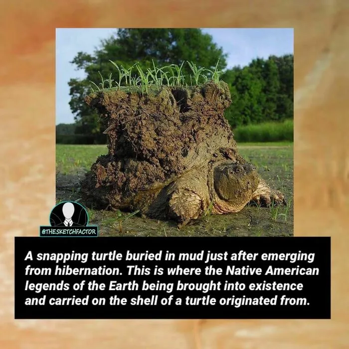 Mud-Covered Time Capsule