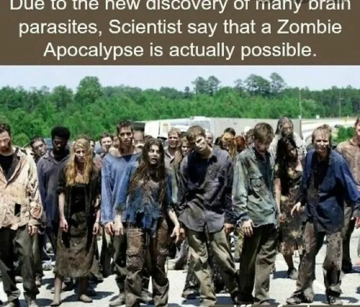 Group of creepy zombies walking on a road in a forested area illustrating random creepy facts and pictures.