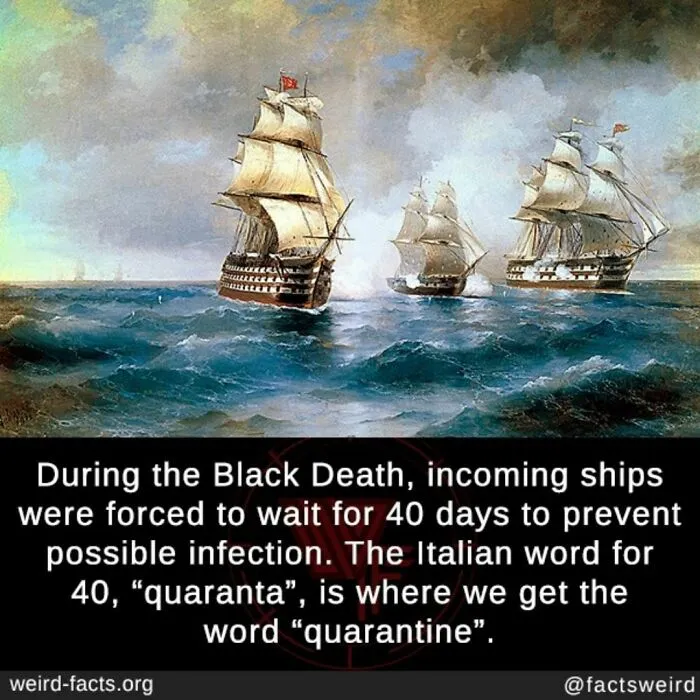Forty Days at Sea
