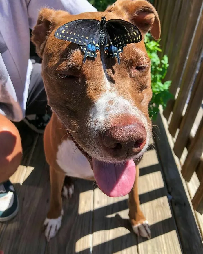 Made A New Friend Today!