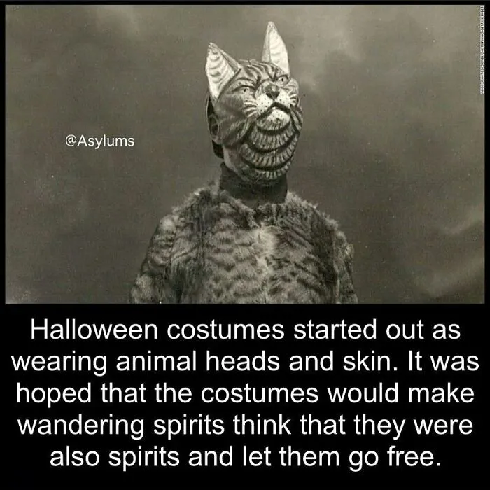 Black and white vintage photo of person in creepy animal head costume related to random creepy facts.