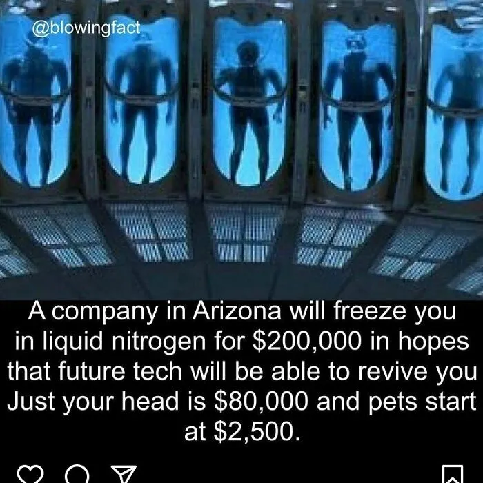Humanoid figures frozen in liquid nitrogen tanks illustrating creepy cryonics facts to deprive somebody of sleep.