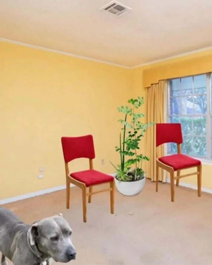 Real Estate Fails: ‘The Broke Agent’ Pokes Fun At The Most Hectic Homes, And Here Are 40 Of The Worst Of Them (New Pics)