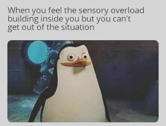 Meme