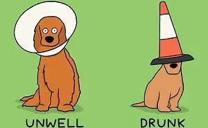 “My Sole Aim Is To Make People Laugh”: 35 Sarcasm-Filled Comics And Illustrations By Cartoonist Steve Nelson