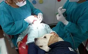 50 Hard To Explain But Impossible Not To Love Animal Pics, As Shared By This IG Page (New Pics)