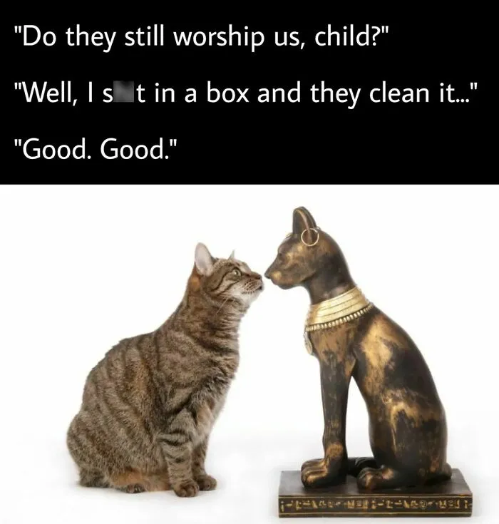 50 Hilarious 'Classical Art Memes' From This Instagram Account (New Pics)