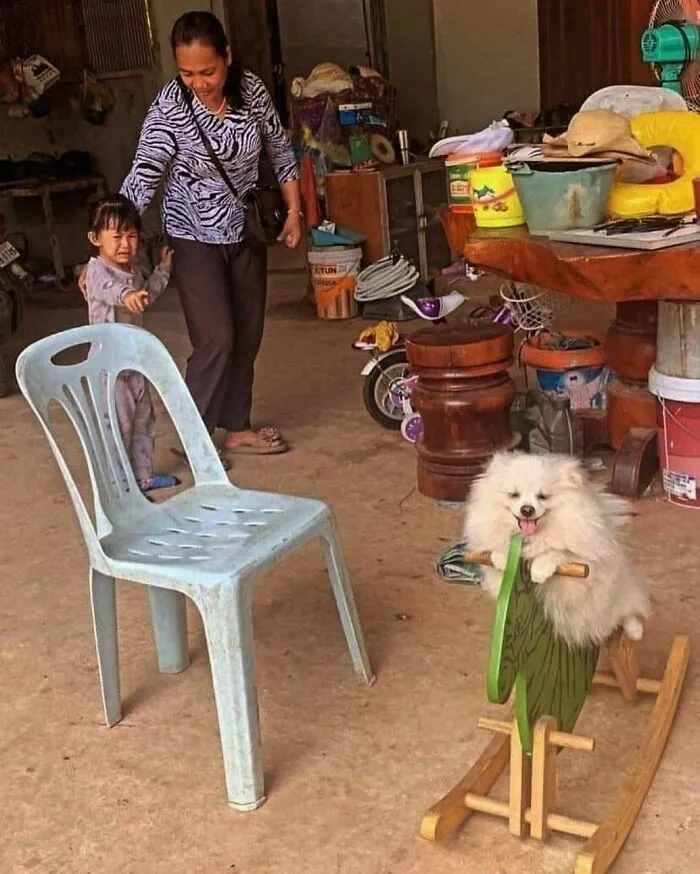 50 Adorables fotos de animales a las que cuesta encontrar explicación (nuevas imágenes)