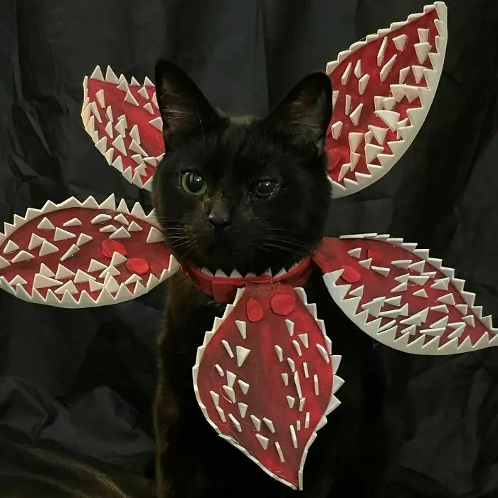 Demogorgon.  I Am A Stranger Thing