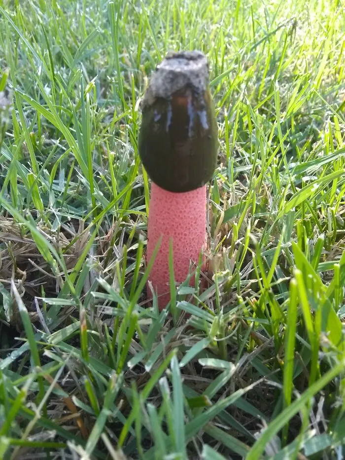 Wichita, Kansas
