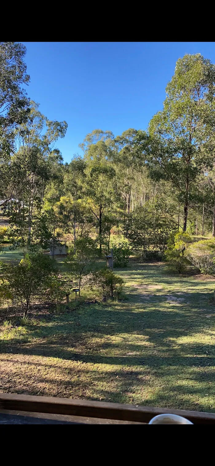 This Was Autumn In Sub Tropical Australia It Looks Pretty Much The Sam All Year Round The Only Difference Is The Temperature