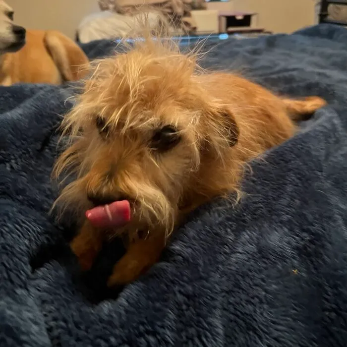 Just Trying To Get A Good Picture Of My Son, Andy