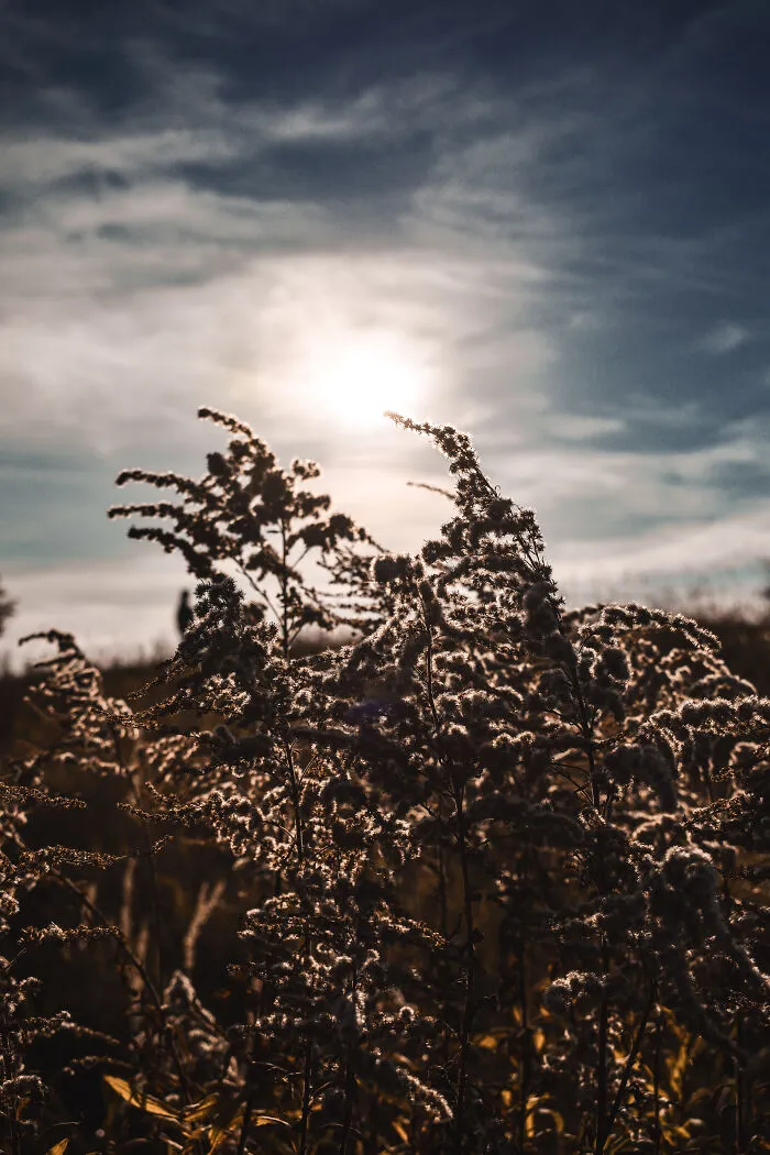 I Photographed This Ukrainian Village Because It Is My Solace That Inspires Me (30 pics)