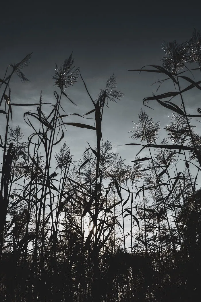 I Photographed This Ukrainian Village Because It Is My Solace That Inspires Me (30 pics)