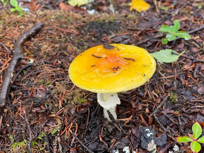Somewhere In Southern Alaska